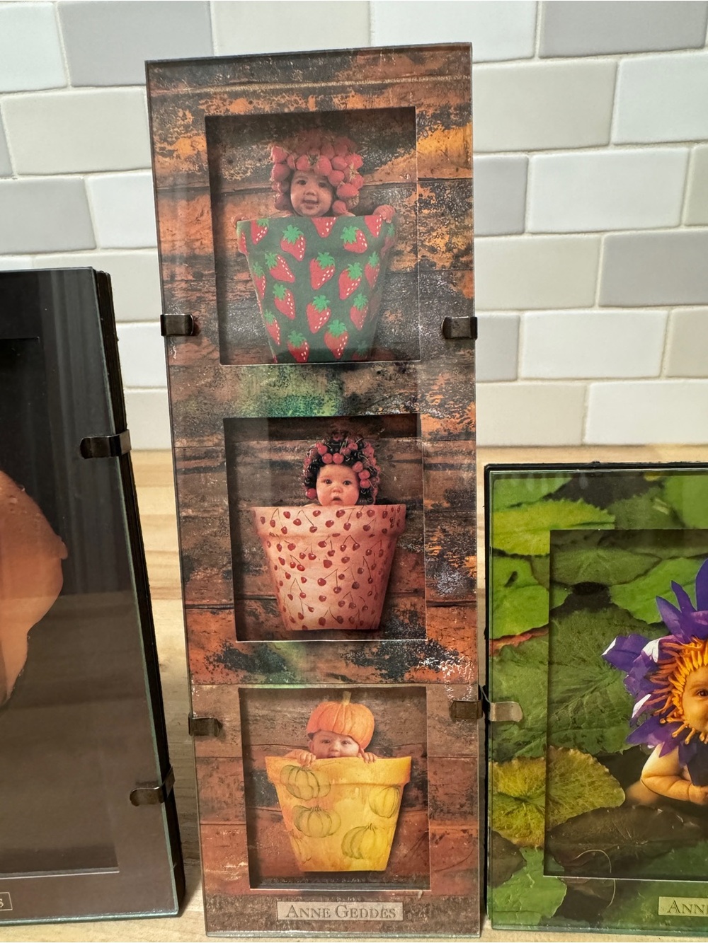 3 Anne Geddes garden baby art framed pictures - Picture 6 of 7